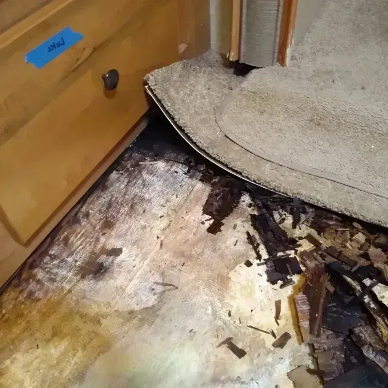 Wood Floor Water Damage in Northwood, IA